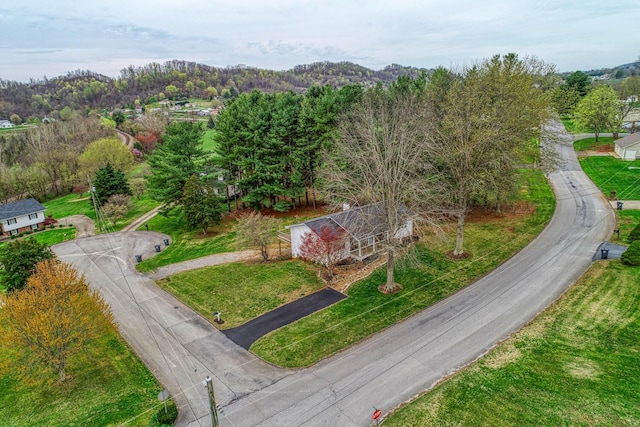 506 Viola Cir, Mount Carmel, TN 37645 - birds eye view of property featuring a wooded view