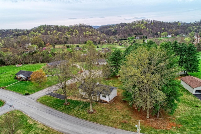 506 Viola Cir, Mount Carmel, TN 37645 - drone / aerial view with a wooded view