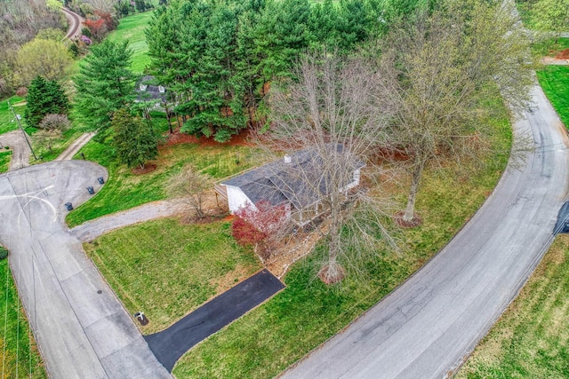 506 Viola Cir, Mount Carmel, TN 37645 - aerial view