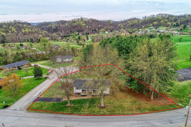 506 Viola Cir, Mount Carmel, TN 37645 - photo 45