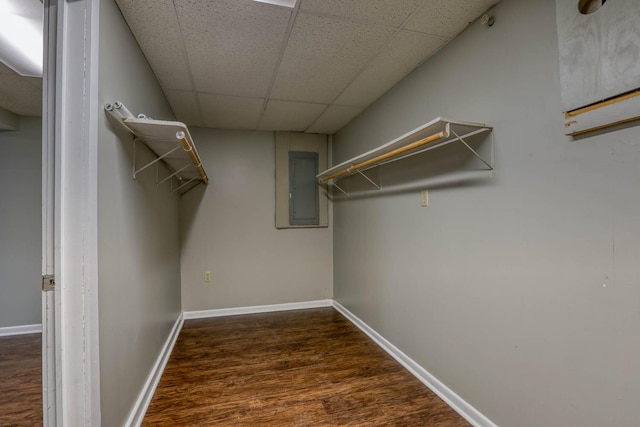 506 Viola Cir, Mount Carmel, TN 37645 - spacious closet featuring electric panel, dark wood-style floors, and a paneled ceiling