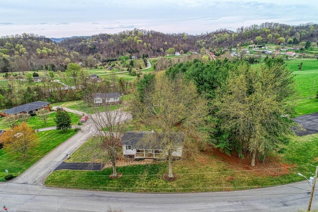 506 Viola Cir, Mount Carmel, TN 37645 - aerial view with a forest view