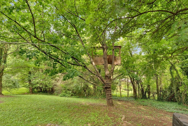 2306 Mountain Dr, Kingsport, TN 37664 - view of grassy yard