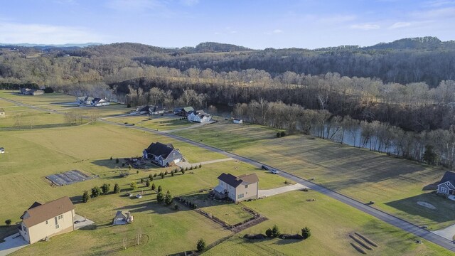 1958 River Mist Cir, New Market, TN 37820 - photo 10