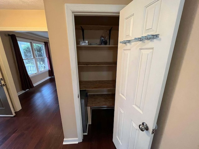 interior space featuring dark wood-type flooring