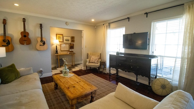 living room with crown molding, wood finished floors, baseboards, and a textured ceiling