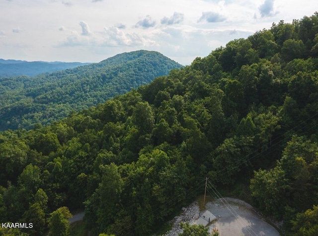 Listing photo 3 for LOT655 Chimney Rock Rd, New Tazewell TN 37825