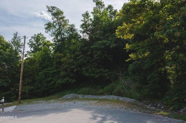 LOT655 Chimney Rock Rd, New Tazewell TN, 37825 land for sale