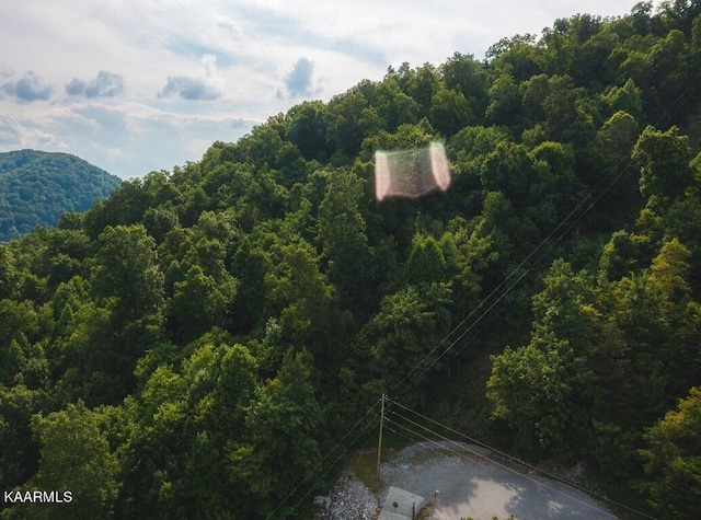 Listing photo 2 for LOT655 Chimney Rock Rd, New Tazewell TN 37825