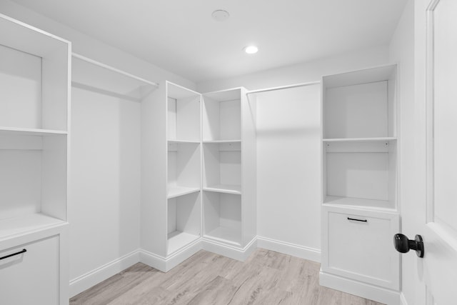 spacious closet featuring light wood-type flooring