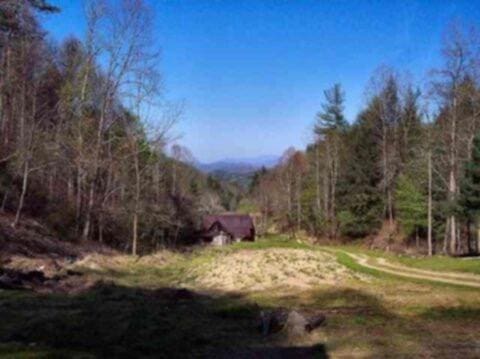 966 John Creek Rd, Del Rio TN 37727 LAND for sale