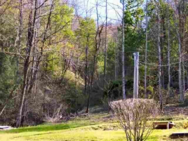 Listing photo 2 for 966 John Creek Rd, Del Rio TN 37727