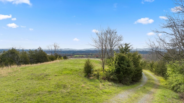 3608 Nina Hills Dr, White Pine TN, 37890 land for sale