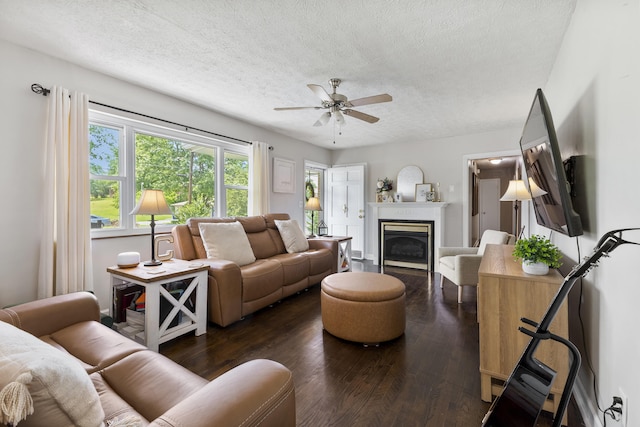 2121 Fir St, Morristown, TN 37813 - living area with a textured ceiling, ceiling fan, wood finished floors, and a glass covered fireplace