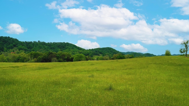 1061 Stanley Valley Rd, Rogersville TN, 37857 land for sale