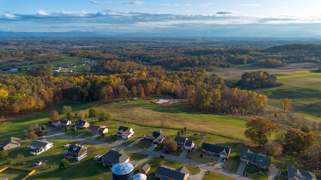 aerial view