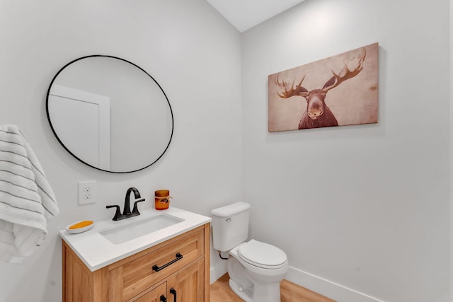1936 Turners Landing Rd, Russellville, TN 37860 - bathroom with vanity, wood-type flooring, and toilet