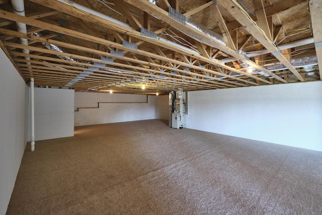 basement featuring heating unit