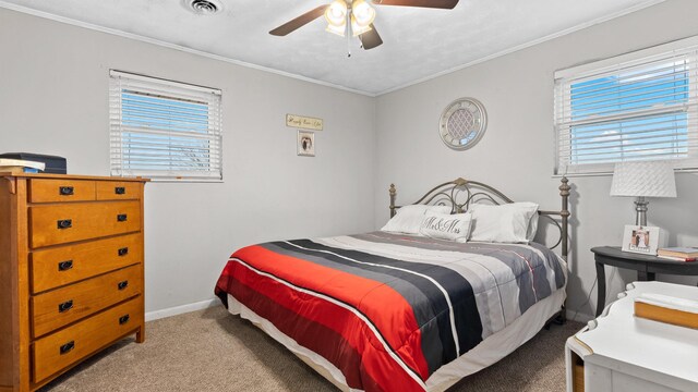 6776 Rex Dr, Talbott, TN 37877 - photo 12