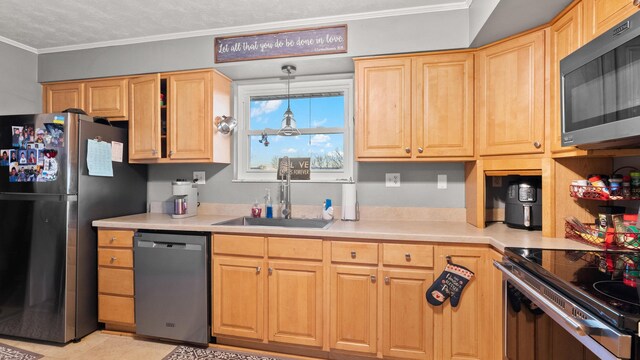 6776 Rex Dr, Talbott, TN 37877 - photo 11
