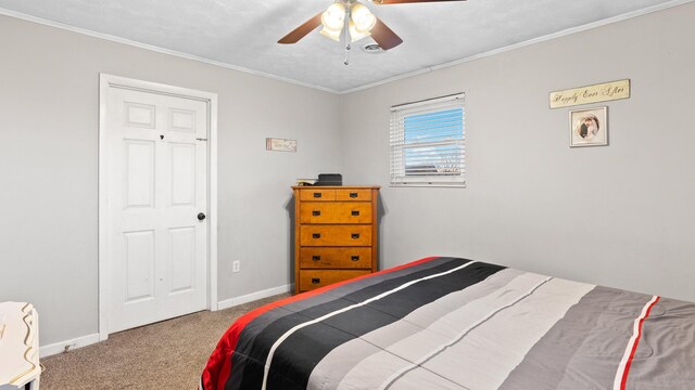 6776 Rex Dr, Talbott, TN 37877 - photo 13