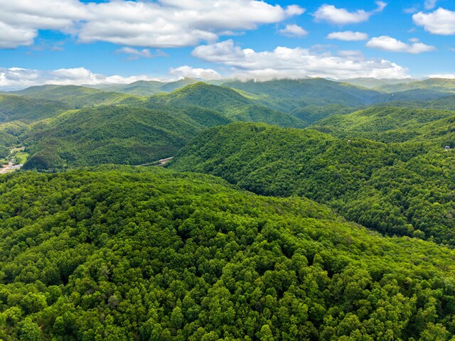 000 Trail Hollow Rd, Hartford, TN 37753 - photo 11