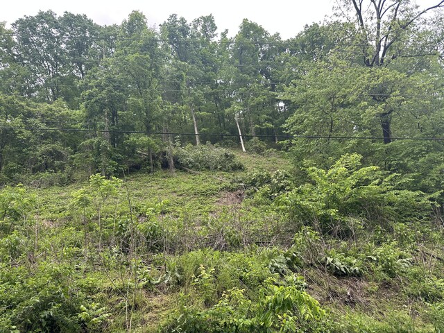 000 Trail Hollow Rd, Hartford, TN 37753 - photo 13