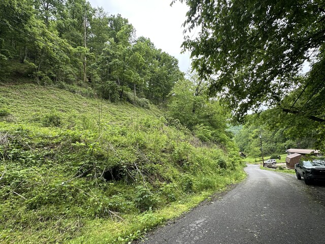 000 Trail Hollow Rd, Hartford, TN 37753 - photo 14