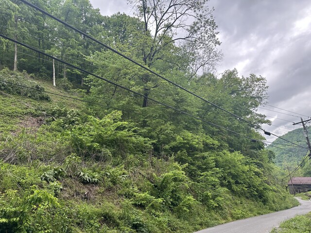 000 Trail Hollow Rd, Hartford, TN 37753 - photo 12