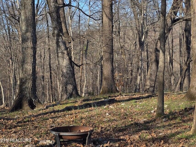 view of landscape