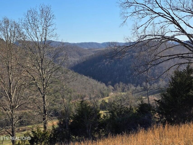 mountain view featuring a wooded view