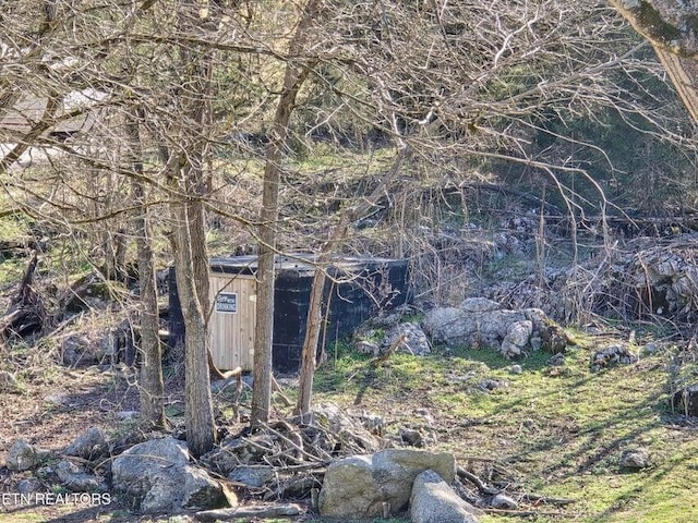 view of local wilderness