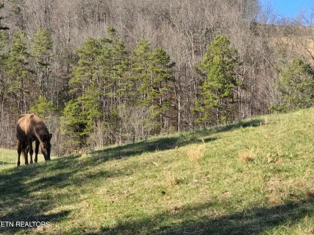 view of local wilderness featuring a forest view