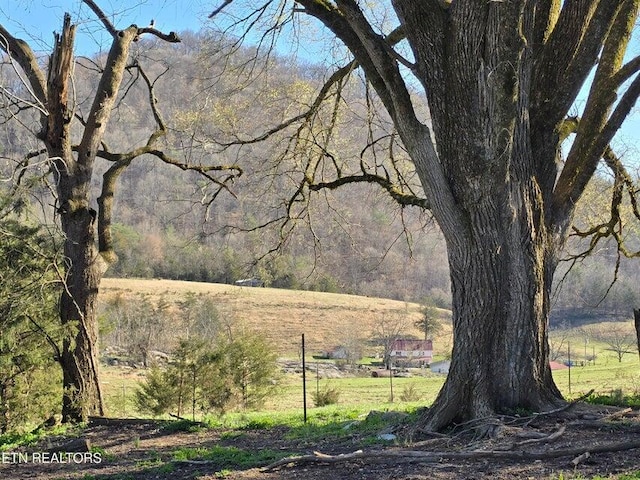 view of nature
