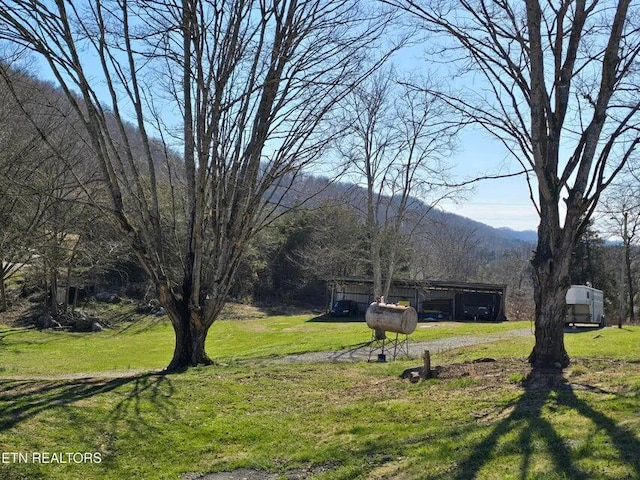 view of yard with an outdoor structure, a mountain view, and a pole building