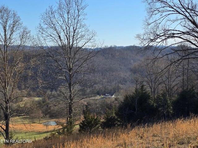 view of mountain feature featuring a view of trees