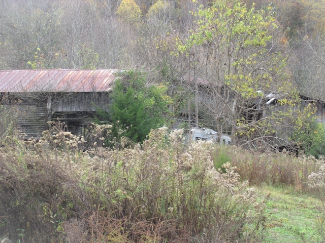 view of nature