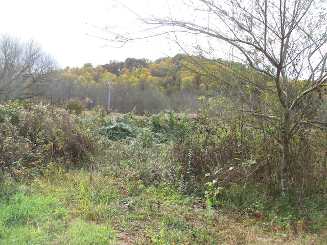 view of landscape