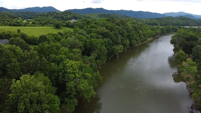 4317 River Chase Trl, Newport, TN 37821 - photo 8