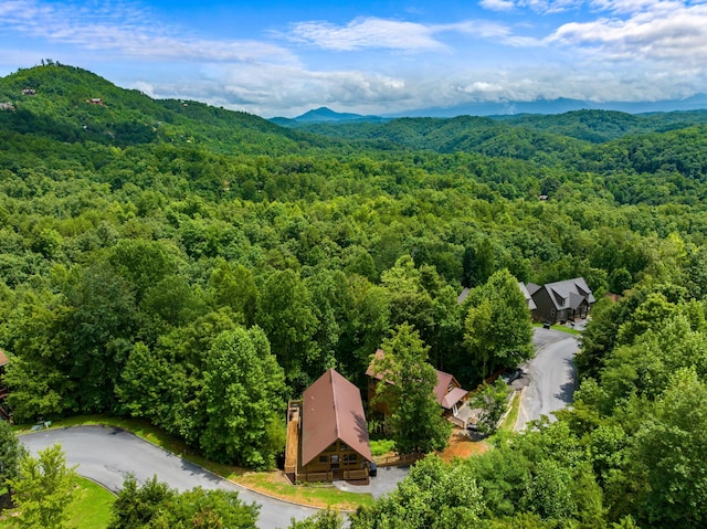 bird's eye view featuring a mountain view