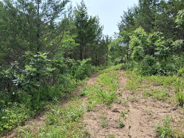 2600 Moore Ridge Rd, Bybee, TN 37821 - photo 13