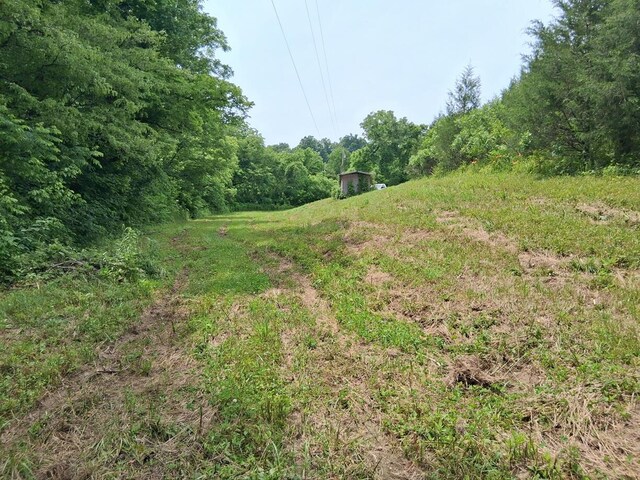 2600 Moore Ridge Rd, Bybee, TN 37821 - photo 8
