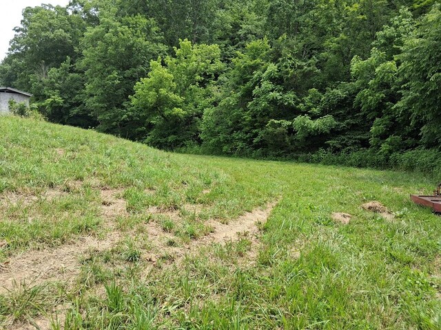 2600 Moore Ridge Rd, Bybee, TN 37821 - photo 15