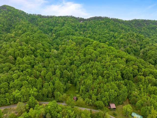 TRACT2 Sandy Valley Rd, Rogersville, TN 37857