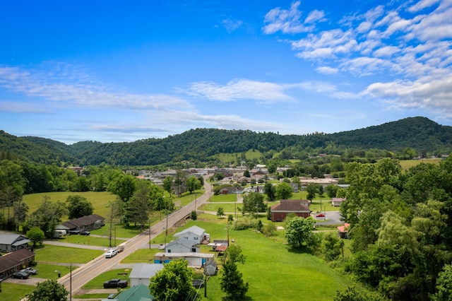 aerial view with a mountain view