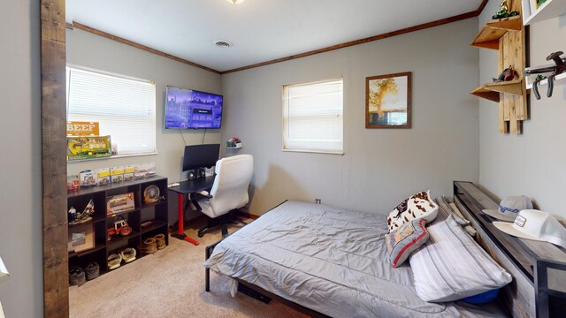 6469 Beacon Light Rd, Whitesburg, TN 37891 - photo 18