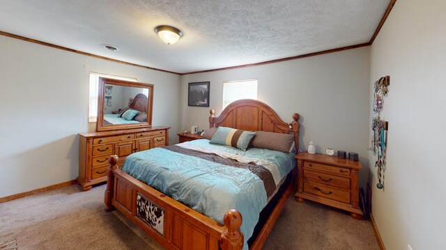6469 Beacon Light Rd, Whitesburg, TN 37891 - photo 11
