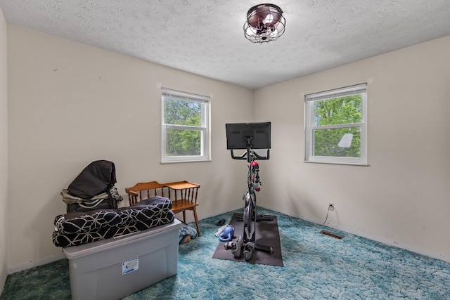 workout area featuring carpet floors, a textured ceiling, and baseboards