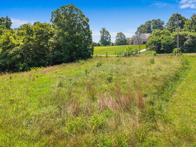 TBD Pheasant View, Rutledge, TN 37861