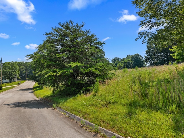 TBD Pheasant View, Rutledge, TN 37861